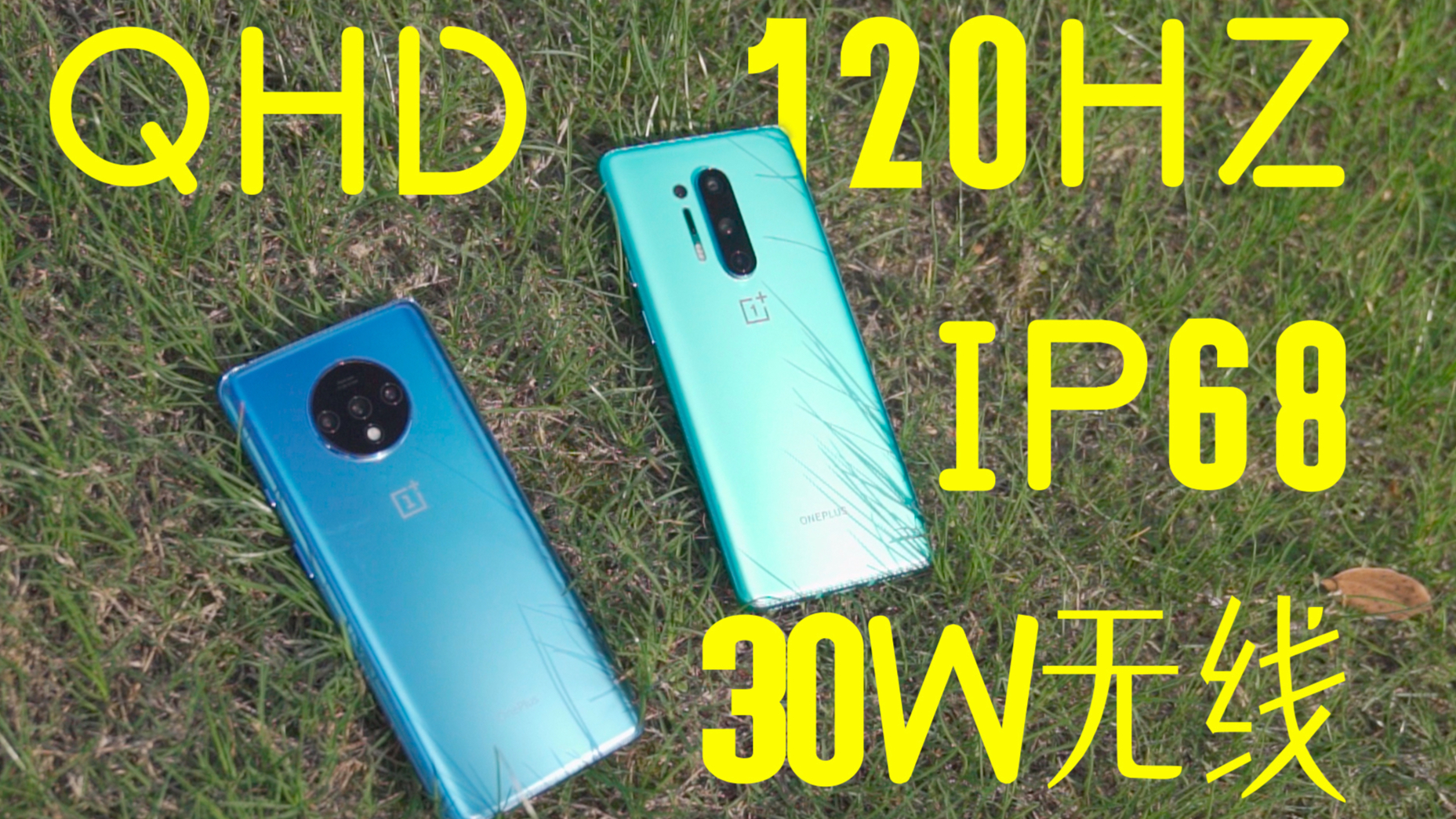 【像素格命】QHD+120HZ+双主摄+IP68防水+30W无线充电——真水桶机一加8影像详评