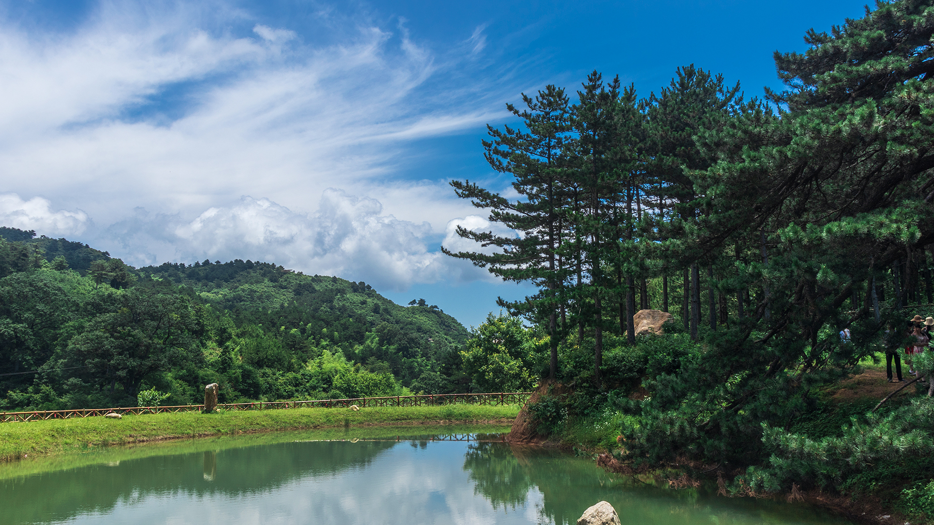 夏天的黄柏山森林公园格外的凉爽