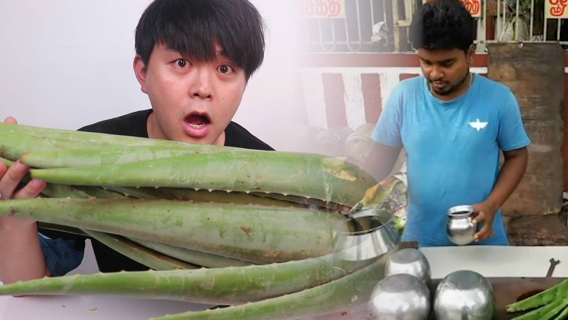 98买了一整颗可食用芦荟,尝试制作印度街头饮料,真的能解暑吗