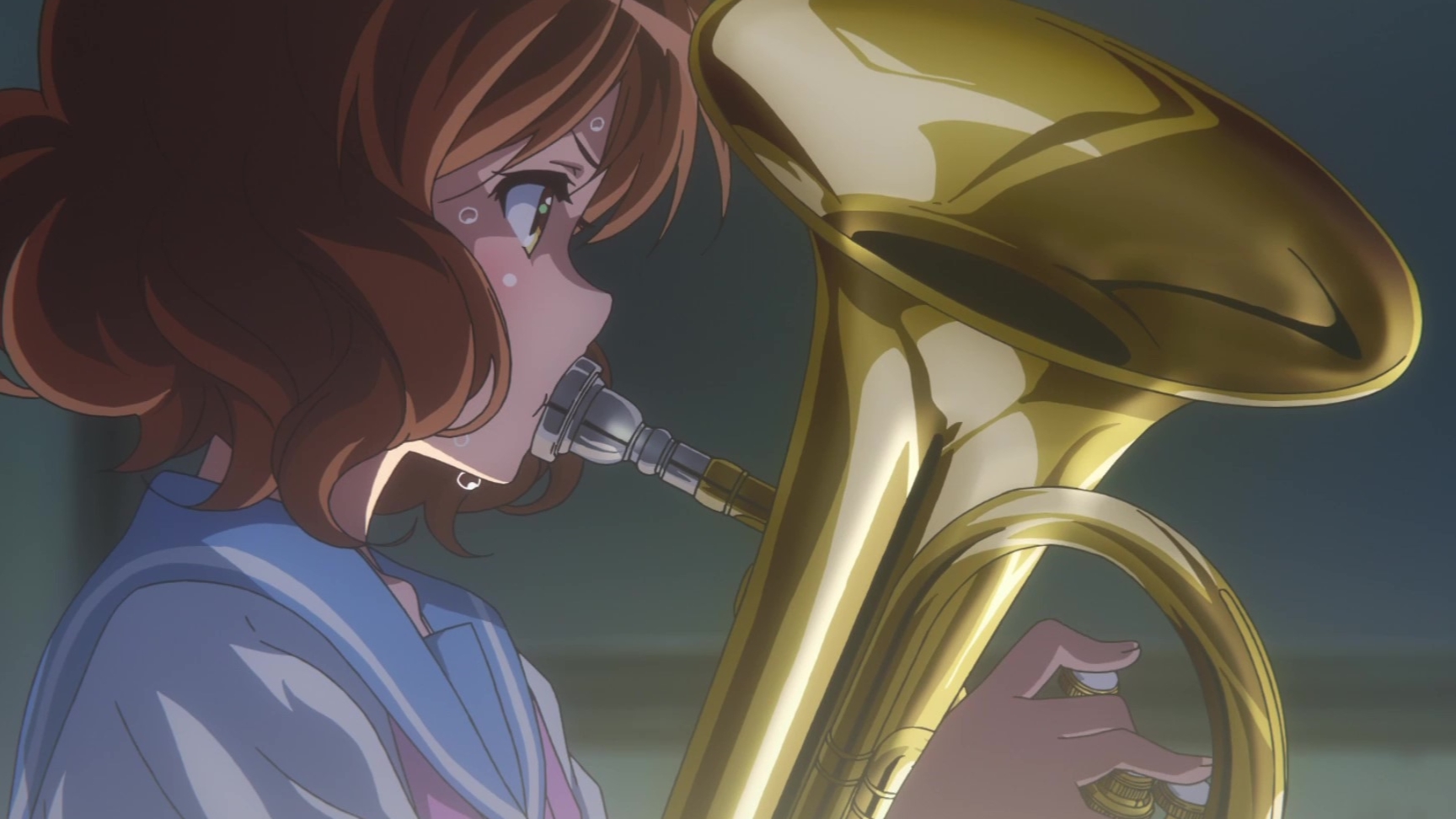 【吹响吧!上低音号】相信努力一定会有奇迹!金奖!