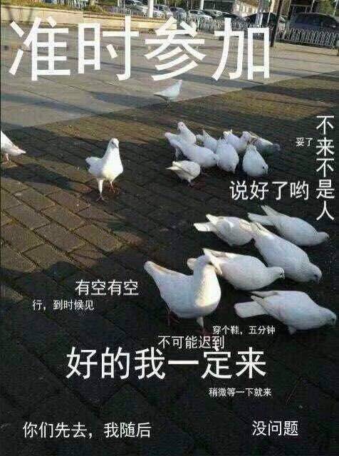 群封面 沙雕图片