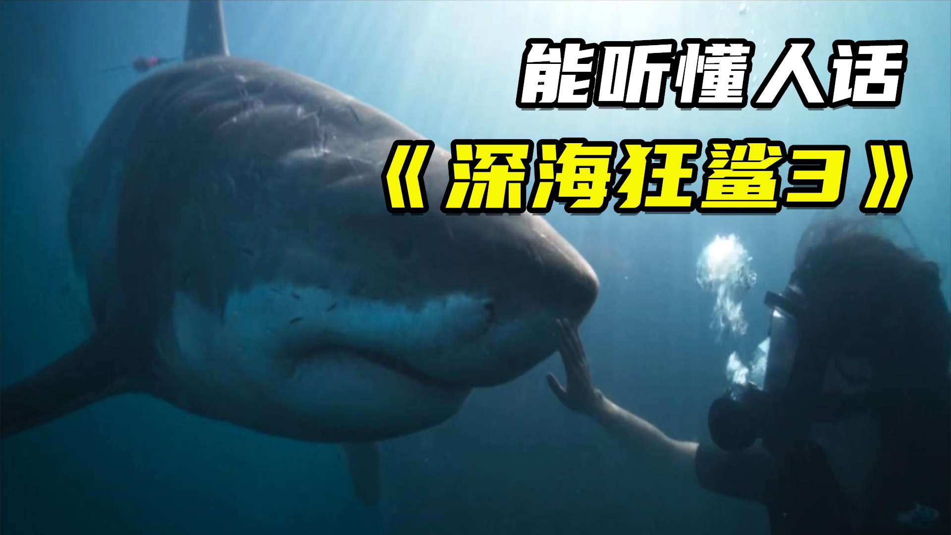 变种鲨鱼智商逆天还能听懂人话2020最新灾难片深海狂鲨3