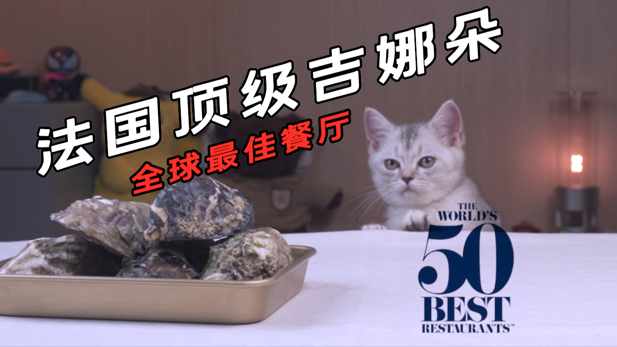 「米其林三星」用吉娜朵生蚝试吃全球最佳餐厅菜品,蚝无人性的美味,喵