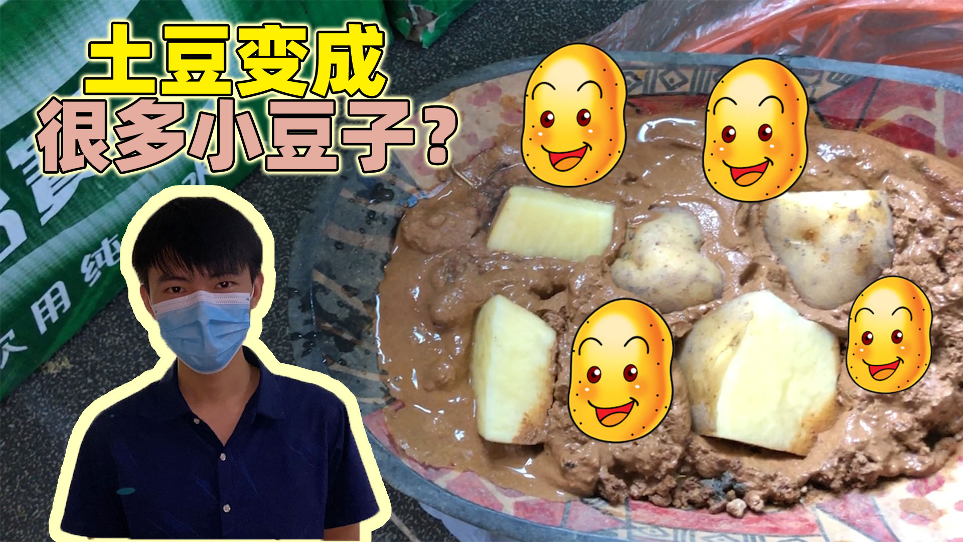 迷你世界:土豆和半拉吵架,半拉决定不要他,自己培育更多小豆子