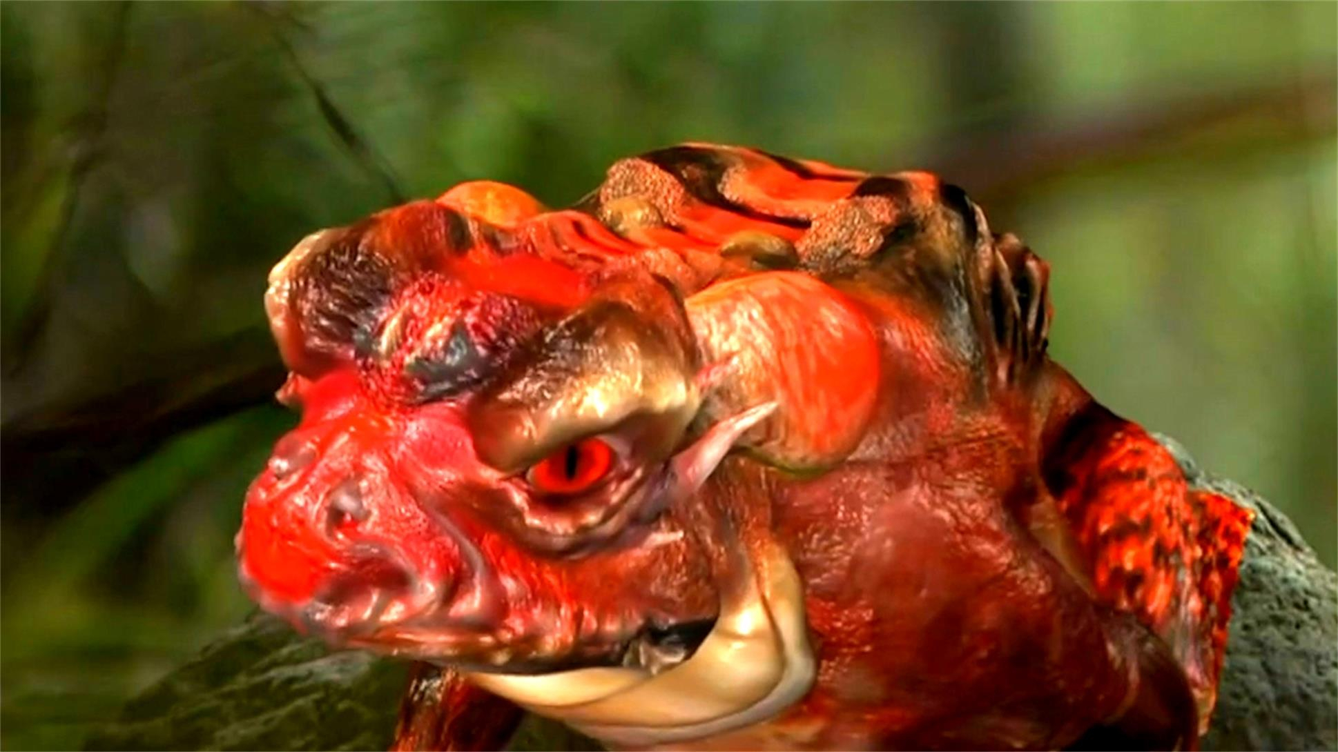 金庸武侠10大灵兽排行榜第4名莽牯朱蛤