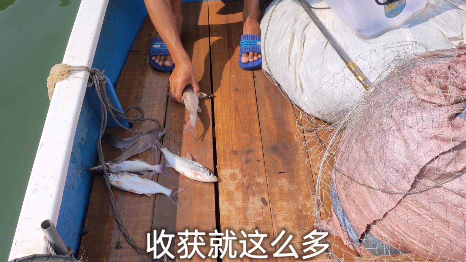 船上生活的渔民阿欢鱼肉是主食,目标鱼一抓一个准,晚菜又丰盛了