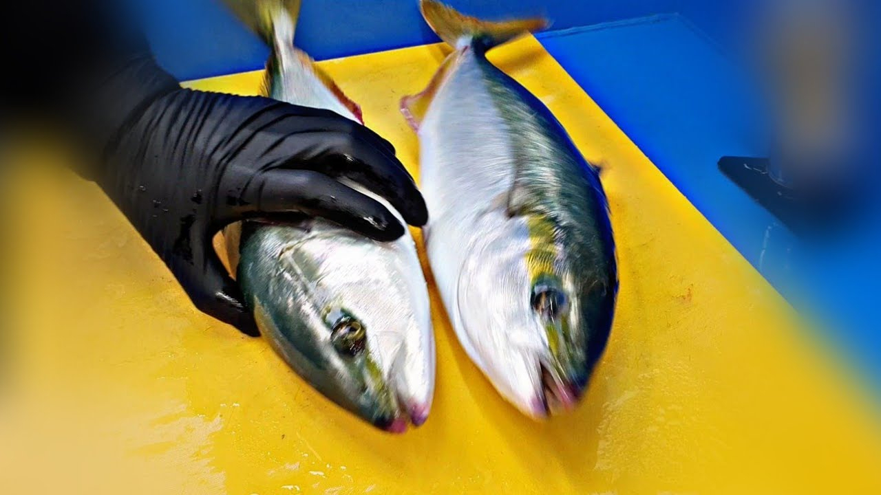 黄鰤鱼的韩国刀法处理显然比日本厨师的刀法略胜一筹鰤鱼肉质甜美脂膏