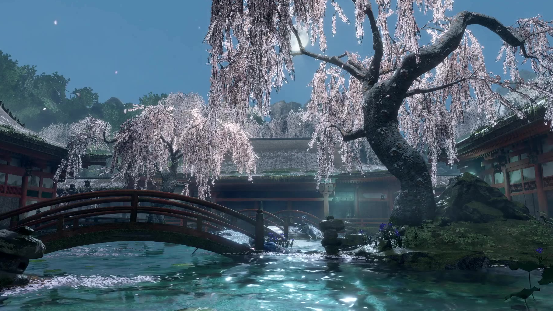 【只狼】源之宫最美动态桌面10p