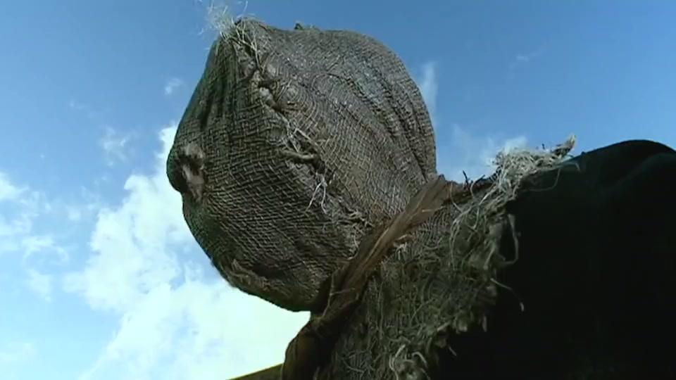 看过美国一个稻草人恐怖片,那个稻草人怎么都死不了.有好几部都没死.