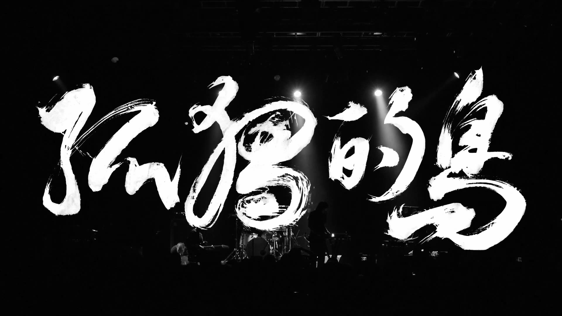 惘闻 — "孤独的鸟" official live video