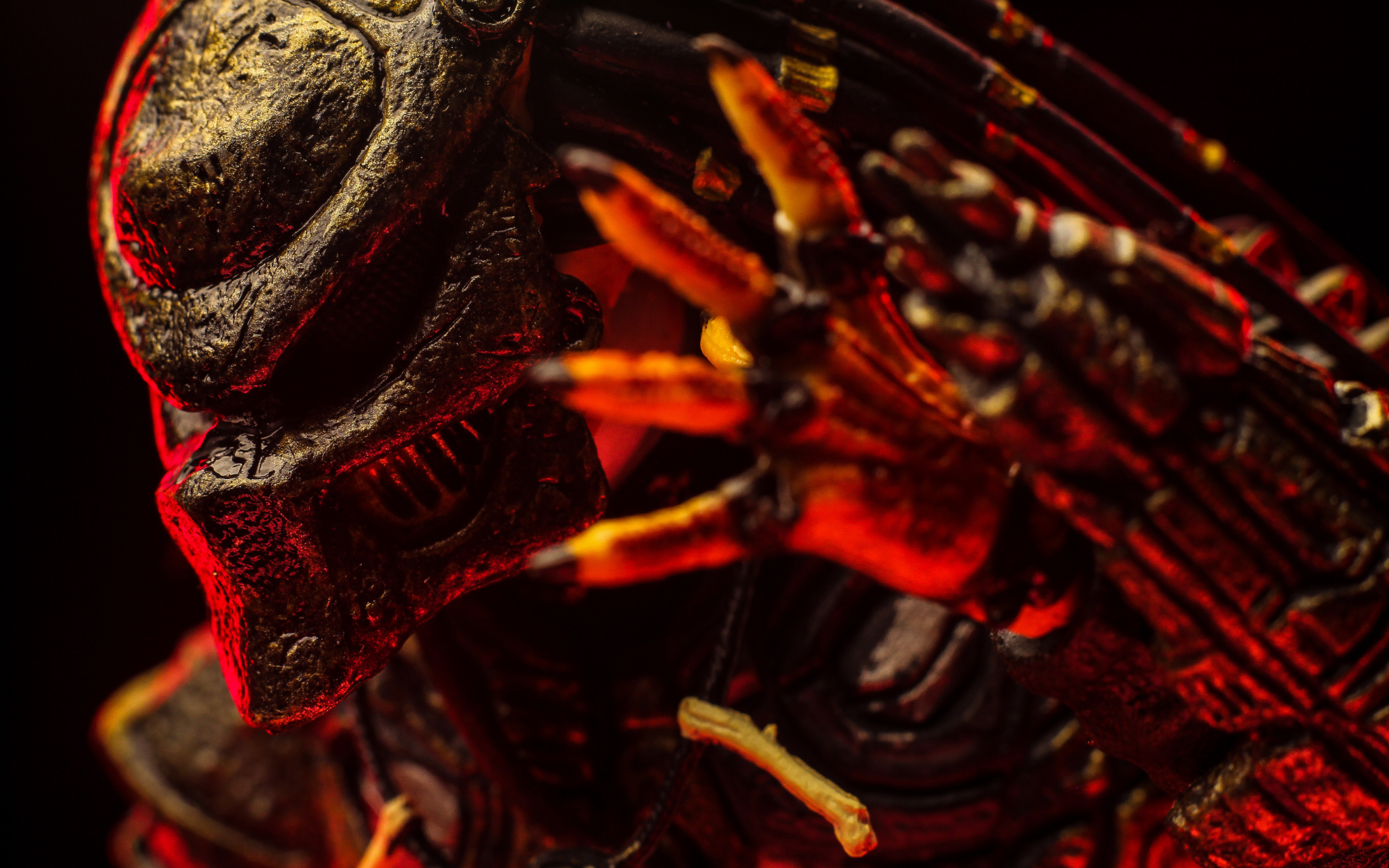 『模玩短评』neca 猪面铁血战士 stalker predator