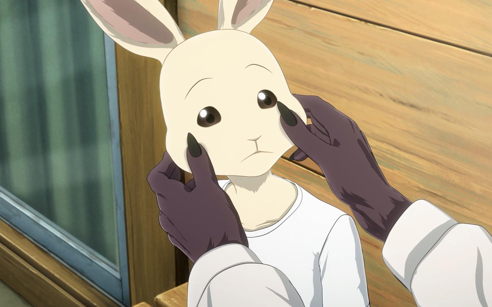 【1月/大结局】动物狂想曲  beastars 第二季 最終回 播出前pv【mce