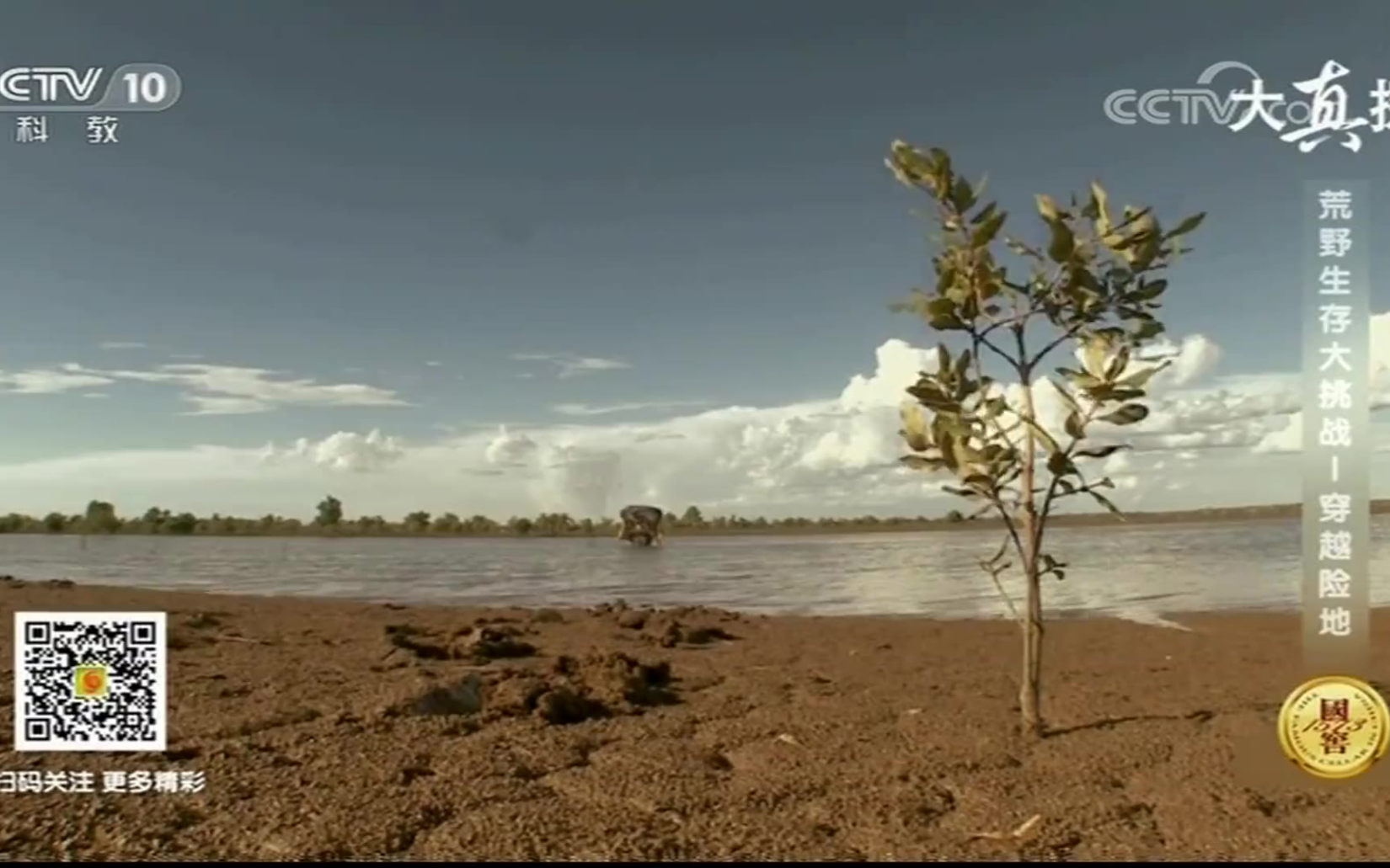 [大真探]求生专家埃德被海水包围 看单挑大神如何突围