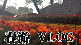 【慕伯】春游VLOG,记录老年生活的一天。