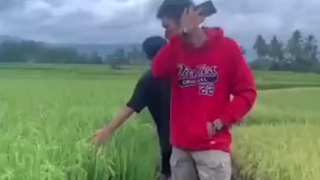 玩转手机摄影,最后这效果不错