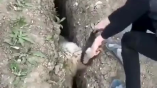 咩用啊!咩用啊!