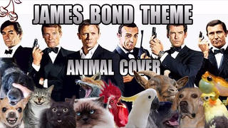 【毫无违和感】☆ James Bond Main Theme☆错误的打开方式