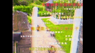 《彼得兔2:逃跑计划》中国预告片发布!
