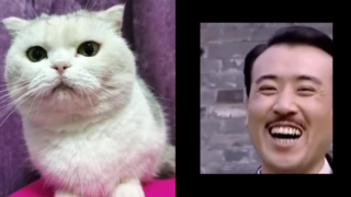 哈哈哈哈猫:你这人是不是有啥毛病
