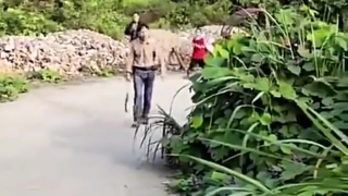 这样的司机怎么着得奖励个12分吧