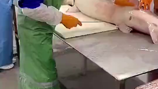 你吃的鱼子酱,原来是这样来的