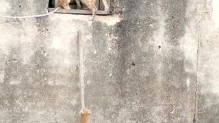 父母是最好的老师