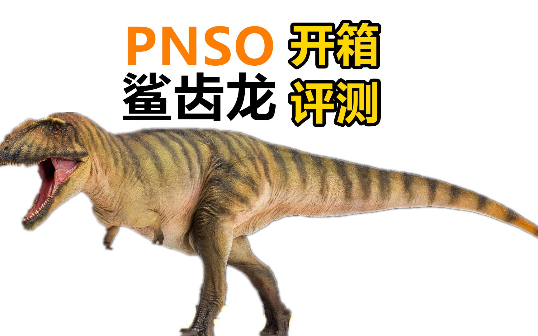 梅男性价比满满pnso鲨齿龙模型评测