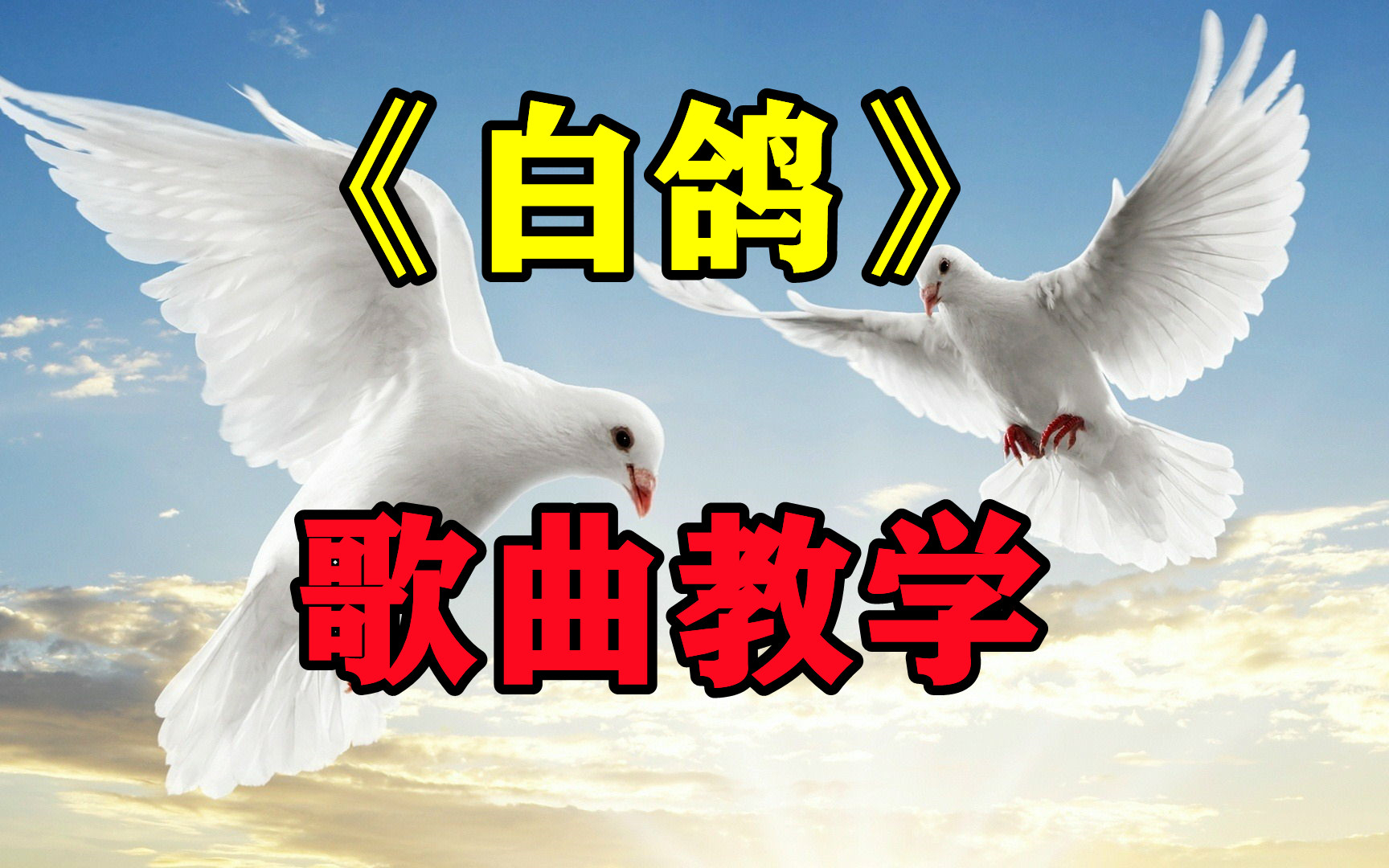 全网爆火的白鸽歌曲教学所以是时间不对还是我不值得