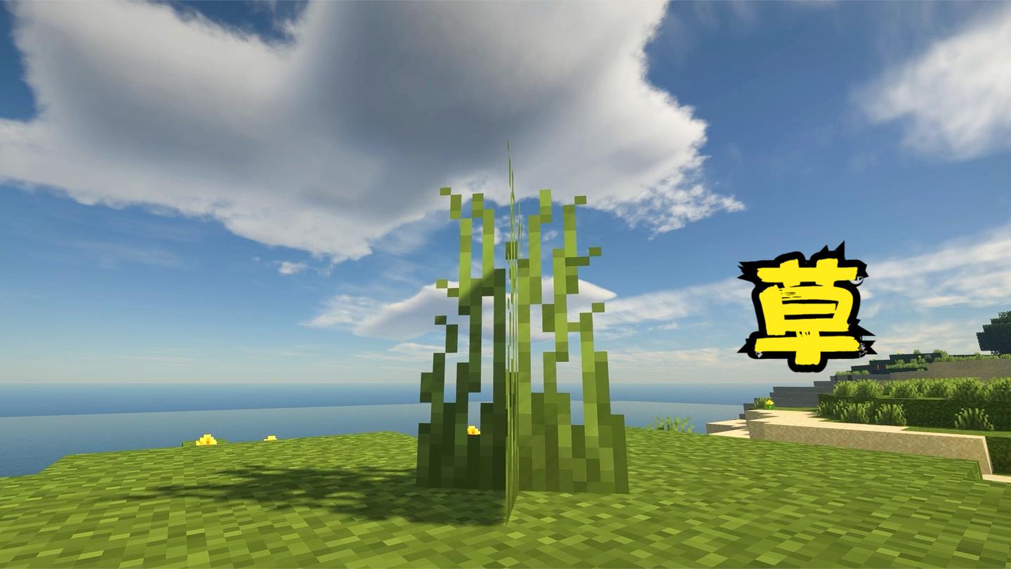 草《mc大型纪录片》